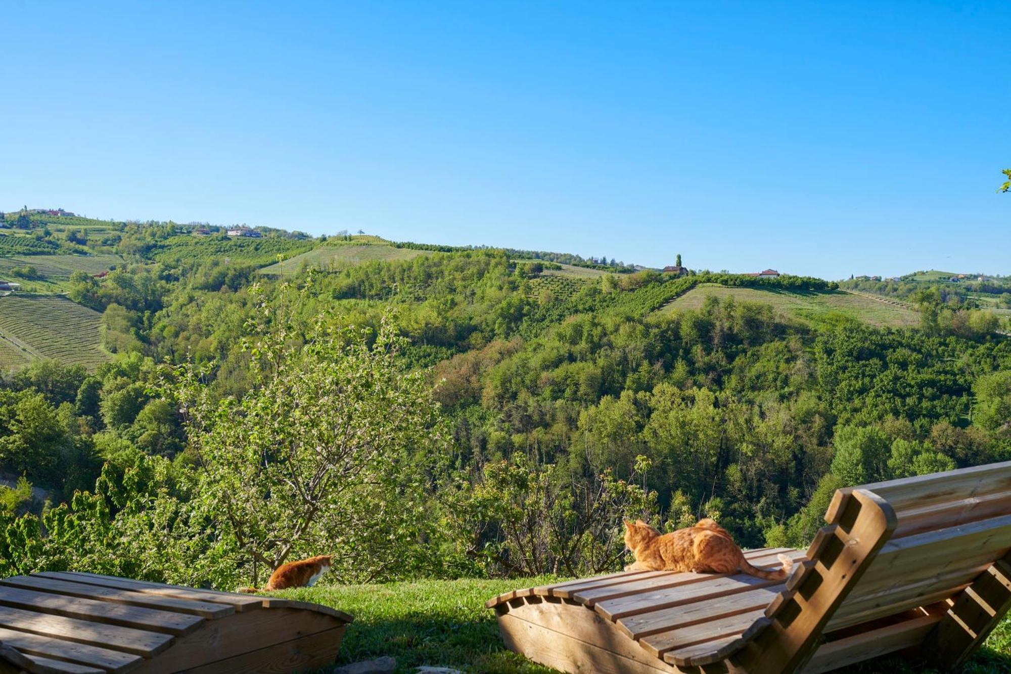 Вилла Cascina Sant'Eufemia Синио Экстерьер фото