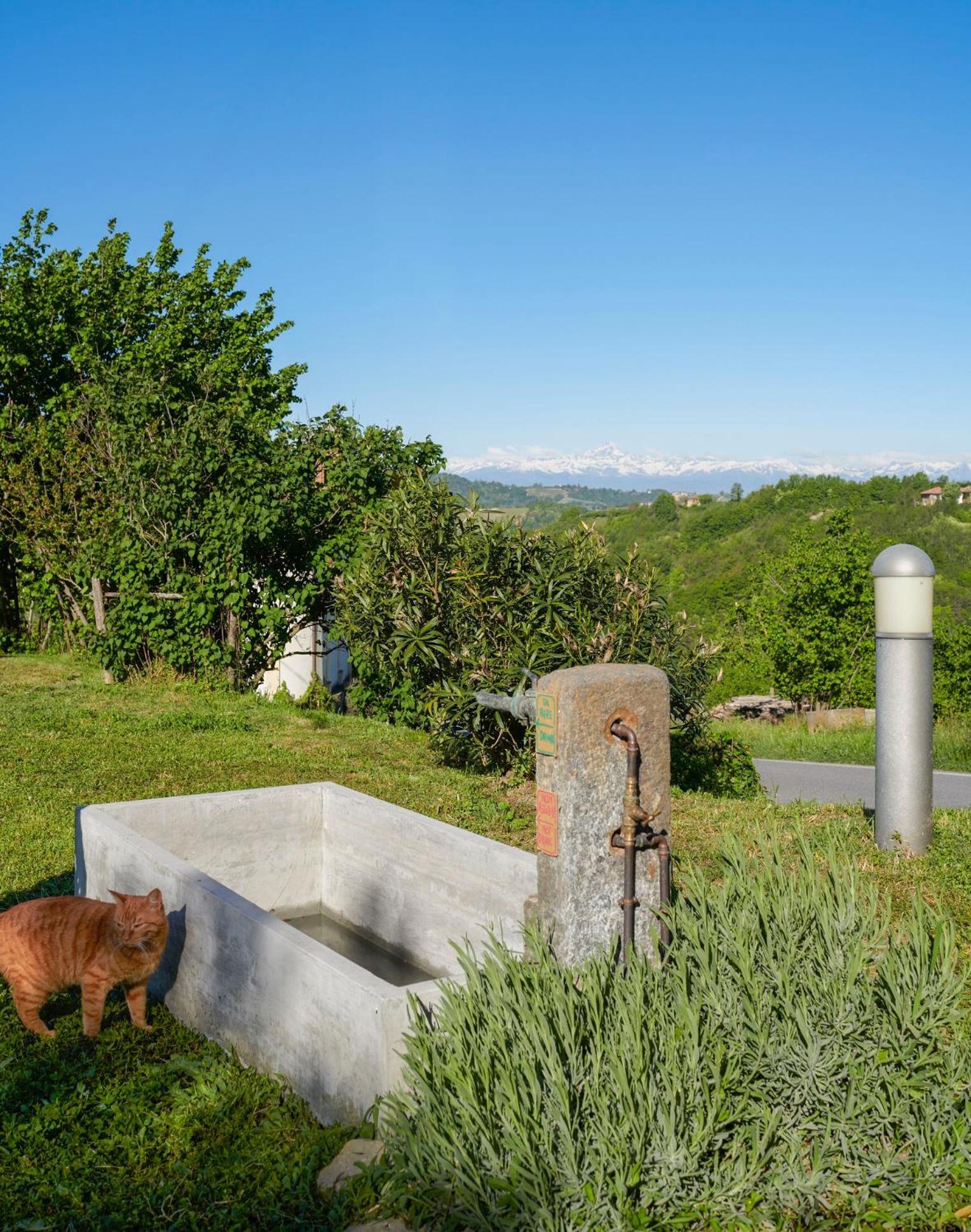 Вилла Cascina Sant'Eufemia Синио Экстерьер фото