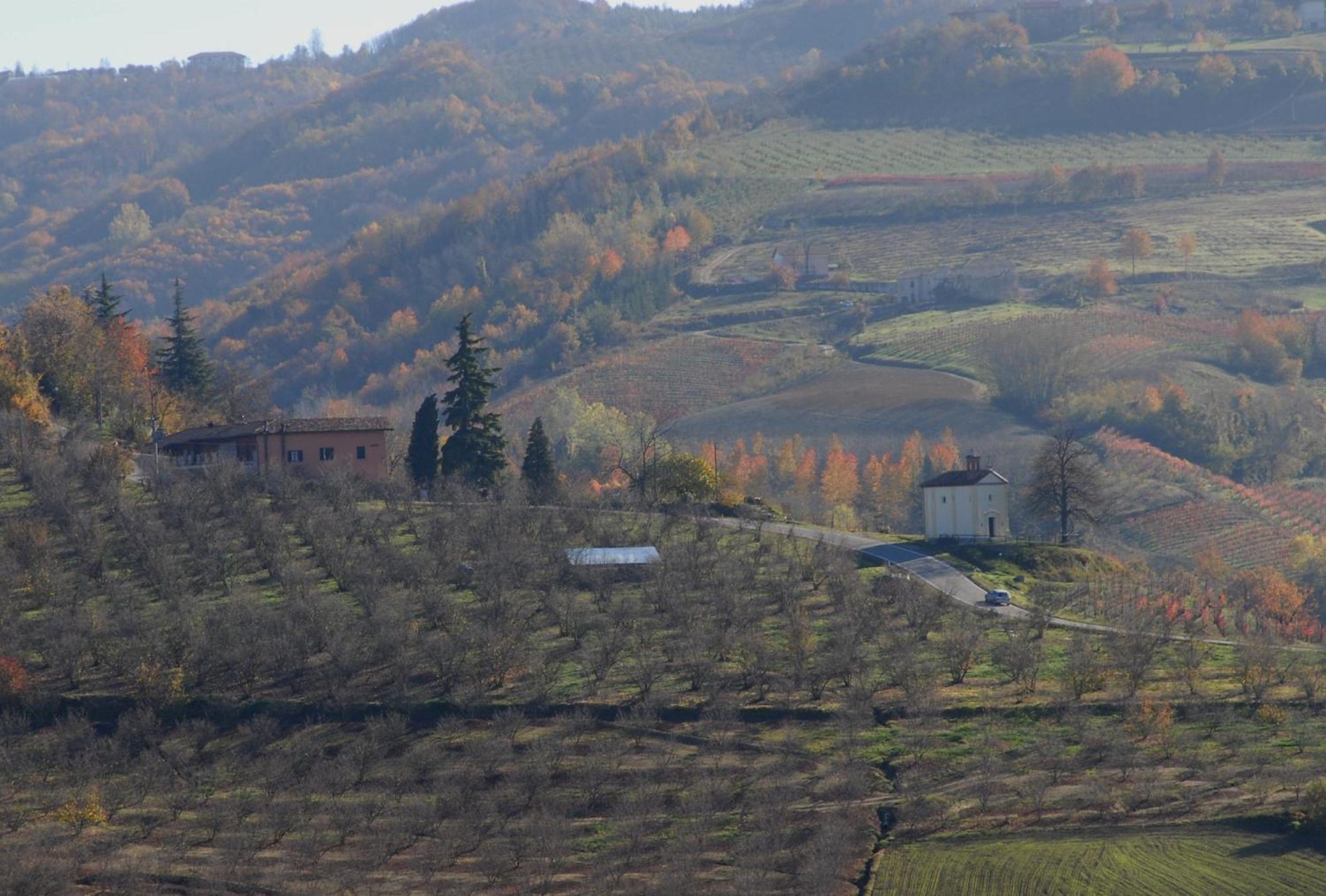 Вилла Cascina Sant'Eufemia Синио Экстерьер фото