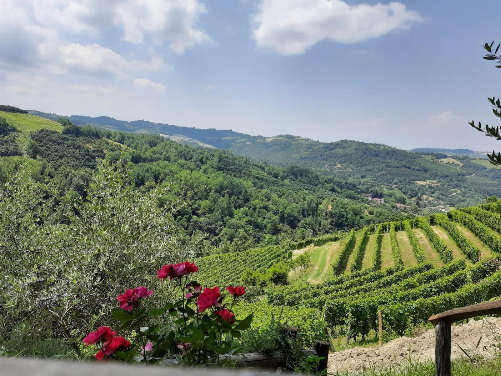 Вилла Cascina Sant'Eufemia Синио Экстерьер фото